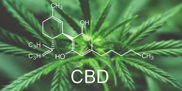 ¿Qué es exactamente el CBD?